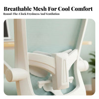 Ergonomic Design Mesh rear Sled Base Chair assistance Sled Base Armchair Padded Seat Office Furniture Easy to Assemble for Students, Home Users, Conference Attendees, Study, Bedroom, Reception Area, Waiting Room