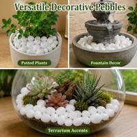 Decorative Pebbles, 2.5kg River Pebble Gravel 2-3cm, Garden Stones for Landscaping, Aquarium & Potted Plants