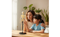 Human Skeleton Model Educational Biological Skeleton Model Basic for Teachers