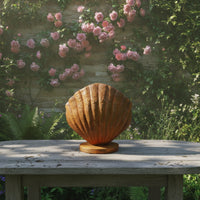 Shell Planter Textured Shell Flower Pot Sculptural for Patio, Balcony
