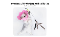 Flower Elizabethan Lightweight Flower Shape Pet C Single Easy to Easy to Maintain Gentle Elizabethan for Cats, Small Dogs, Post-Surgery Recovery