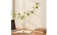 10 Pieces No-Drill Climbing Plant Wall Clip with Adhesive Back Easy to Use Wall Plant Clip with Adhesive Back Space-Saving Discreet for Renters, Indoor Garden, Apartment Balcony