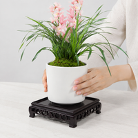 Transparent Square Plant Trays, 4cm High Plant Pot Saucers, Potting Tray for Indoor Gardening, Succulents Water Reservoir
