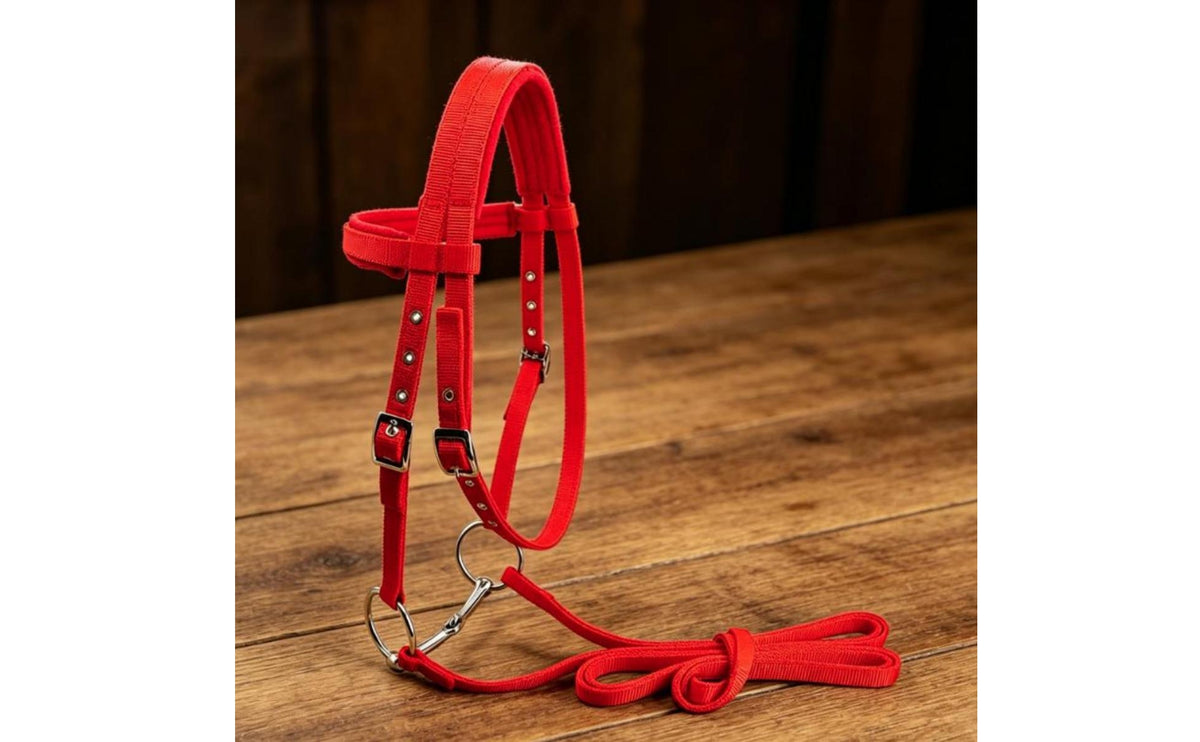 Padded Horse Bridle with Bit Fleece-Lined Adjustable Horse Bridle Strap Material Equestrian Gear Metal Rings
