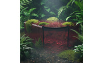Translucent Reptile Hiding Shelter Acrylic Terrarium Visual Hide Smooth Hideout Sturdy for Gecko