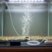 Large Air Circulation Noiseless Aquarium Pump Quiet Aquatic Aquarium Air Pump Silicone Tube Included Aquatic Aquarium Aerator