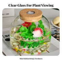 Desktop Self-Sustaining Environment Bottle Multipurpose Micro Landscape Bottle Compact Size Terrarium for Hobbyists, Students, Tabletop, Living Room