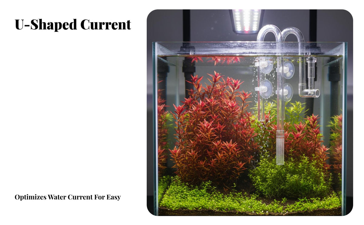 Surface Skimmer Pipe Easy to Clean Aquarium Inflow Outflow Pipe Set High Current Design Fish Tank Water Surface Skimmer Kit for Crustacean Keepers