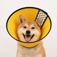 Post Surgery Cone for Pet Recovery, Transparent Anti-Mouth Guard with Padded Edge, Snap Button Recovery Cone for Dogs and Cats After Surgery