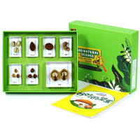 Nature Sample Kit Hands on Educational Sample Kit Labeled Specimens for Students, Classroom