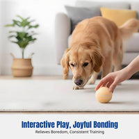 High-Quality Dog Toy, Macaron Ice Cream Ball, Chew Resistant, Interactive Training, Random Color