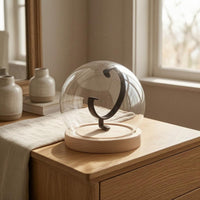 Clear Watch Display Dome Cloche  Showcase Dust Protection Watch Dome Display Lightweight