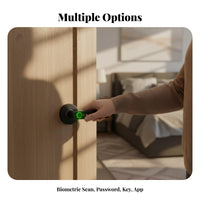 Biometric Door Lock Multiple Methods Biometric Door Lock with Handle Anti-Peep Password for Homeowners, Bedroom, Apartment, Rental Property