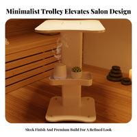 Aesthetic Instrument Trolley Silent Universal Wheels Esthetician Trolley Cart Mobile Spa Cart Thickened ABS Panel