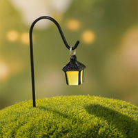 Creative Iron Art Luminous Lantern Planter Micro Landscape Garden Decor Succulent Plant Ornament