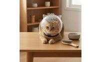 Pointed Ears Antinip Pet Head Cover Visibility Openings Transparent Feline Muzzle