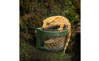 Strong Adhesive Food Cup Easy to Install Herpetological Bowl Stable Grip Herpetological Feeding Bowl Space Saving for Crested Gecko Owners, Terrarium