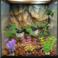 5 Piece Reptile Hide with Climbing Surfaces, Realistic Crested Gecko Tank Accessories, Moisture-Resistant Jungle Vivarium Decor