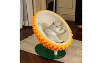 Durian Cat Scratching Bed 3 in 1 Durian Cat Bed No Shedding Pet Accessory for Cats, Indoor