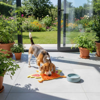 Dog Foraging Mat Slow Feeder Foraging Mat Food Hiding Puzzle Toy