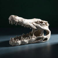 Hand-Painted Crocodile Skull Ornament Compact Aquarium Cave with Hollow Design Realistic Resin Skull Decoration Natural-Looking for Aquatic Pets Keepers, Terrarium