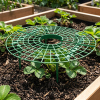 Strawberry Plant Support for Outdoor Gardening, Green Fruit Support with Sturdy Legs, Half-Round Strawberry Supports, Container Gardening