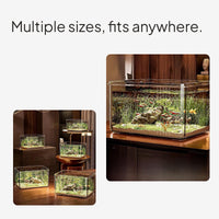 Eco Desktop PET Aquarium for Turtles and Goldfish