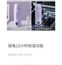 TODSMI便携烧水杯小型迷你烧水壶出差旅行车载加热保温电热水杯