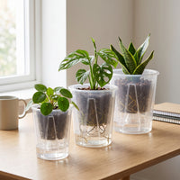 Air Column Self-Watering Orchid Pot with Transparent Outer Basin for Hydroponics and Root Health