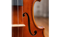 4/4 Violin Fine Tuners Full-Size Violin String Instrument Glossy Brown