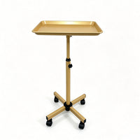 1-Tier Metal Rolling Utility Cart for Tattoo, Nail, Beauty, Hair