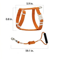 Kitten Harness and Cat Leash Set, Polyester Travel Harness with Buckle, 150cm Kitten Leash for Outdoor Cat Pet Walking