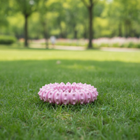 Pet Chew Toy Ring TPR Foam Durable Interactive Dog Toy for Small Medium Large Dogs