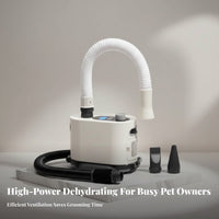 Cat and Dog Dryer Quick Dry High Power Dog Blower Low Noise Design High Power Pet Dryer for Professional Groomers, Home Use