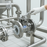 Stainless Steel Flanged Ball Valve, High Purity, PTFE Lined, Manual Two-Piece for Chemical Industry