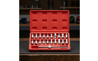 21 Pieces 3/8-Inch Drive Oil Pan Drain Plug Set Square Hex Star Drive Triangle Bits Drain Plug Socket Set