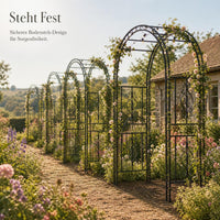 European Style Metal Garden Arch with Gate for Climbing Plants