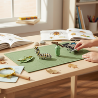 Butterfly Life Cycle Model Set - Educational Insect Growth Stages for Kids