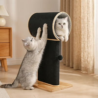 Cat Tunnel with Scratching Pillar Compact Scratching Pillar Indoor Cat Furniture for Cats