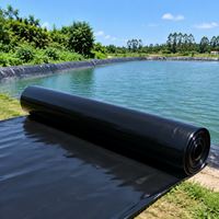 Waterproof Canvas Tarp, Heavy-Duty Waterproof Sheet, 10m Thick Blue Sheet, for Garden, Pond