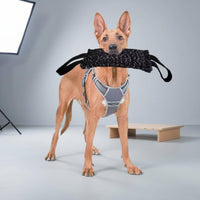 Dog Gnaw Pillow Sturdy Gnaw Pillow Tug of Battle Toy Double Stitching Pet Supply 2 Handles for Working Dogs
