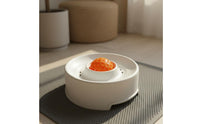 Easy to Clean Interactive Licking Bowl Slow Feeder Bowl for Cats