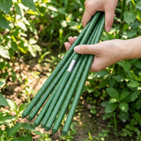 Garden Trellis for Climbing Plants in a Raised Bed, Heavy Duty Coated Steel Garden Stakes, Plant Support Kit with Clips for Potted Plants
