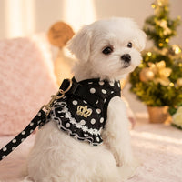 Cat Walking Harness and Dog Leash Set, Padded Textile Vest Style Small Dog Harness with Buckle, Outdoor Pet Gear for Puppy, Cat