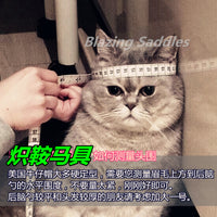 黑色美国西部牛仔帽1949年老牌BULLHIDE进口男女牛仔帽帆布硬定型