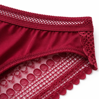 Women's Knickers Plus Size Lace Trim Panties with Ice Silk Material, Low Rise Seamless Ladies Underwear for Everyday Comfort