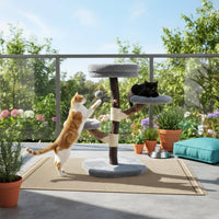 Wooden Cat Compact Area Saving Hardwood Cat Structure Climber Sturdy Animal Furniture Scratching Post