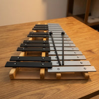 25 Note Xylophone Classroom-Friendly Xylophone with Carry Case Glockenspiel with Carrying Bag for Kids, Beginners