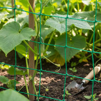 Garden Trellis Netting for Climbing Plants, Fruits, and Vegetables