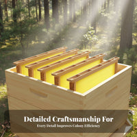 Plastic Beehive Frame Sturdy Bee Feeder Frame in-Colony Bee Feeder Easy to Clean Apiary Equipment for Hobbyists
